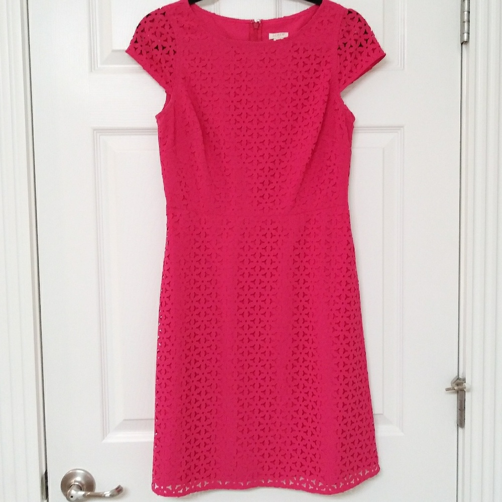 J. Crew Pink Fit & Flare Dress